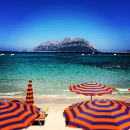 Splendida Di *